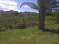 Well Situated Vacant Stand - St Francis Bay