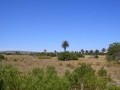 Vacant Erf - Shelley Point