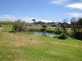 Smallholding - Stellenbosch