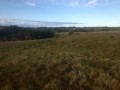 Prime grazing land - Kenton on Sea