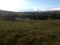 Prime grazing land - Kenton on Sea
