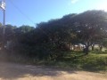 Vacant Stand, Morgans Bay 4