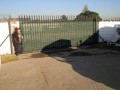 Commercial Warehouse, Edenvale 16