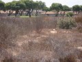 Vacant Stand, Langebaan Country Club 2