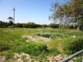 8ha Smallholding, Atlantis 9