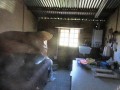 8ha Smallholding, Atlantis 23
