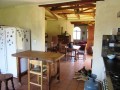 Estate Late Auction - 11h15 -       8ha Smallholding, Atlantis 28