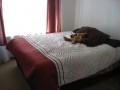 2-Bedroomed Unit, Northgate 4