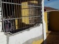 2-Bedroomed Home, Brooklyn 10