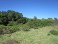  Large Stand In Green Coastal Reserve - Sardinia Bay,Theescombe, Port Elizabeth