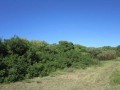 Vacant Erven in Green Coastal Reserve - Sardinia Bay,Theescombe, Port Elizabeth 3