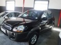 Vehicle Auction - Somerset West 1