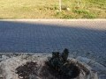 Vacant Stand in Secure Estate, Stillbaai Wes 6