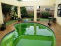 3-Bedroomed Family Home, Parklands 21