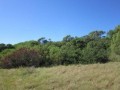  Large Stand In Green Coastal Reserve - Sardinia Bay,Theescombe, Port Elizabeth 1