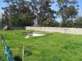 3-Bedroomed Home With Cottage - Greenbushes
