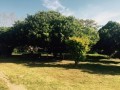 Low Maintenance Home, Alexandria 3