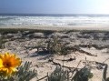 Prime Seafront Property - Yzerfontein