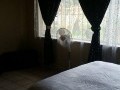 4 Bedroomed Home, Birchleigh 15