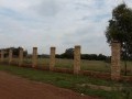 3 Hectare Stand In Agricultural Holding - Beckedan