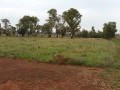 Development Potential, Beckedan