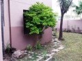 2-Bedroomed Home, Bellairspark 10