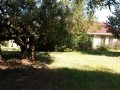 Family Home, Elardus Park 14