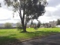 Residential Vacant Stand, Vierlanden