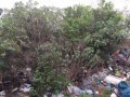 Vacant Stand, King Williams town 6