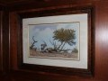 Entire Household Contents – All Must Be Sold, Craighall