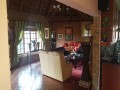 4- Bedroomed Thatched Home, Montana 13