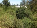 5.6 Hectare Development Site -Knysna 37