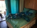 Family Home, Oudtshoorn 4