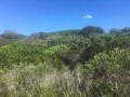4.3Ha Vacant Stand, Port Alfred 3