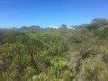 4.3Ha Vacant Stand, Port Alfred 4