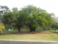 Vacant erf in Silwerstrand Golf Estate - Robertson 1