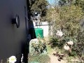 Single Storey Free Standing Residential Dwelling - Cedar Lakes 10