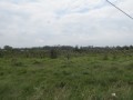 Vacant Stand - Greenbushes, Port Elizabeth