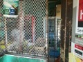 Commercial Property, Grahamstown 5