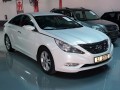 Vehicle Auction - Somerset West