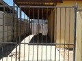 2 Bedroomed Starter Home, Worcester 1