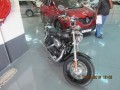Vehicle Auction - Somerset West 1