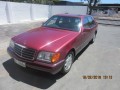 Vehicle Auction - Somerset West 2