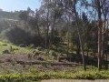 Vacant Stand, Knysna 2