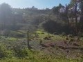 Vacant Stand, Knysna 3
