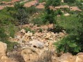 Vacant Freehold Residential Stand Wilkoppies  4