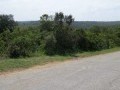 Vacant Stand - Kleinemonde - Seafield