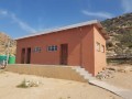 Prime Industrial Property, Springbok 5