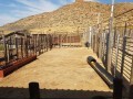 Prime Industrial Property, Springbok 8