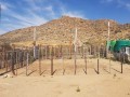 Prime Industrial Property, Springbok 9